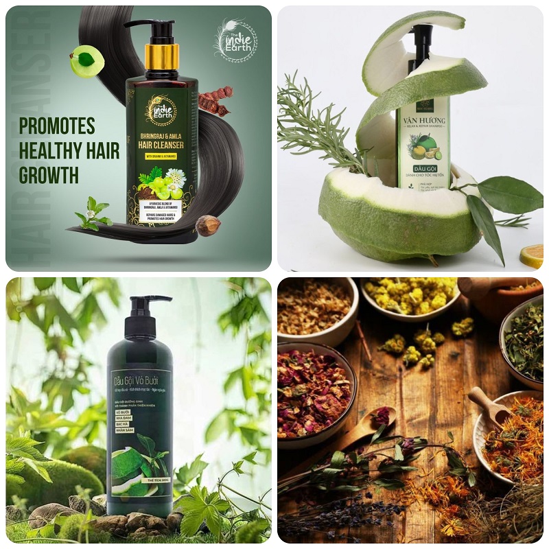 gia công dầu gội thảo dược